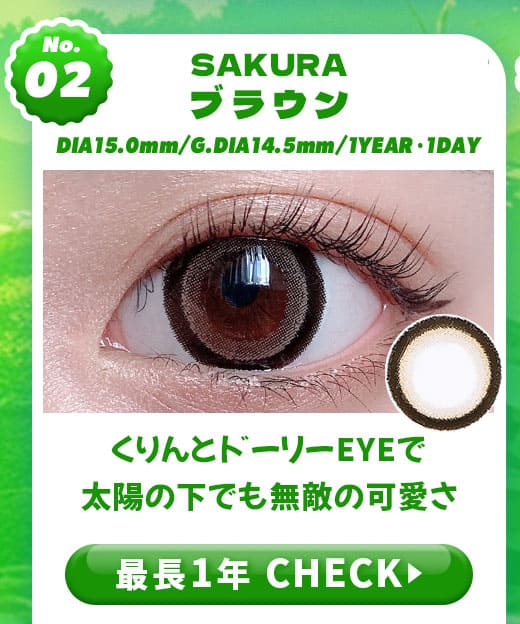 SAKURAブラウン1年使用