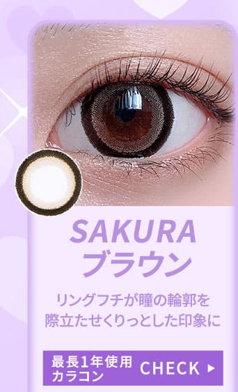 SAKURAブラウン1年