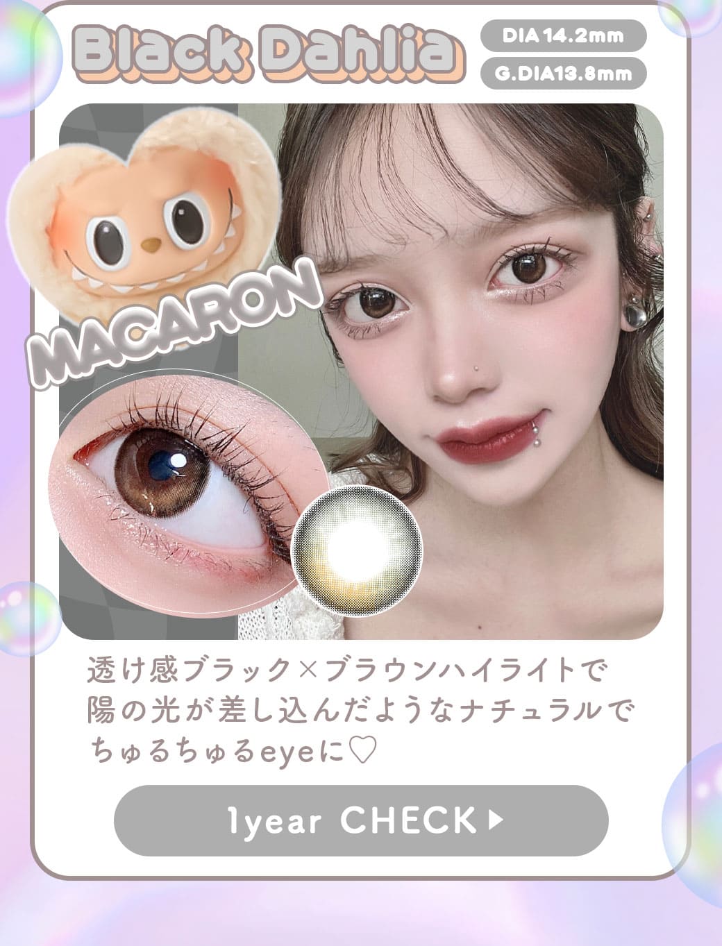 ブラックダリア