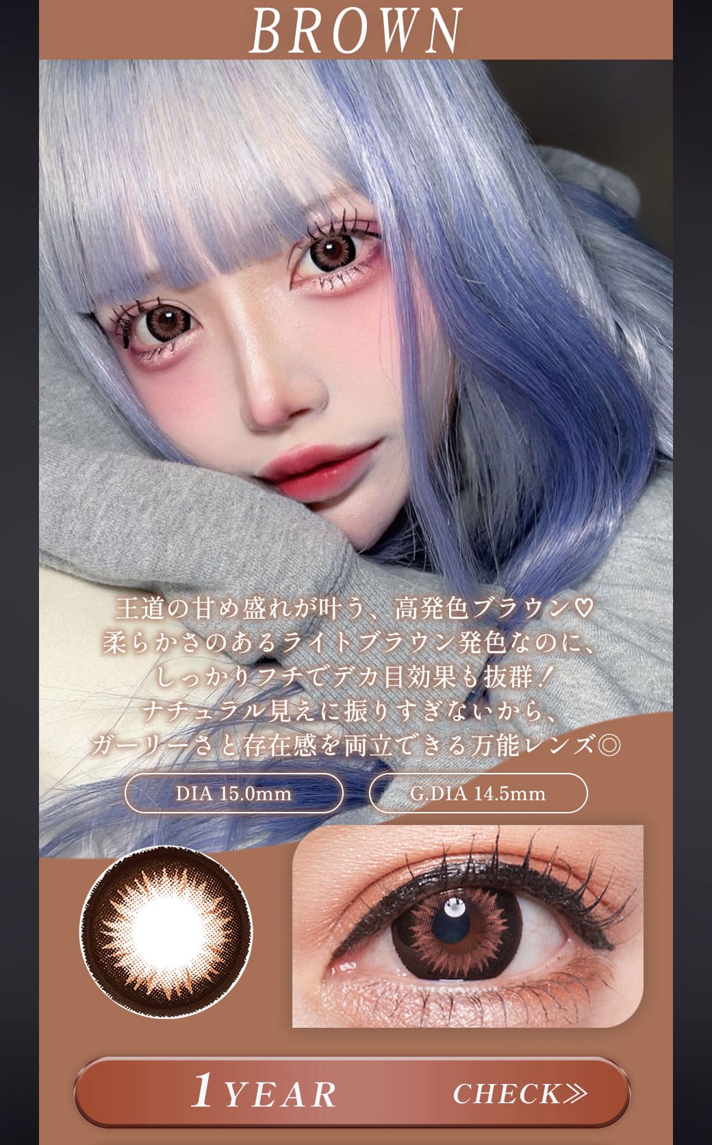 Tiara　ブラウン　1年