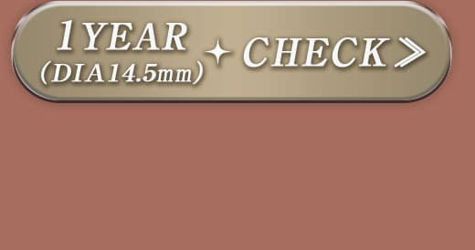 Queenダークブラウン1年14.5