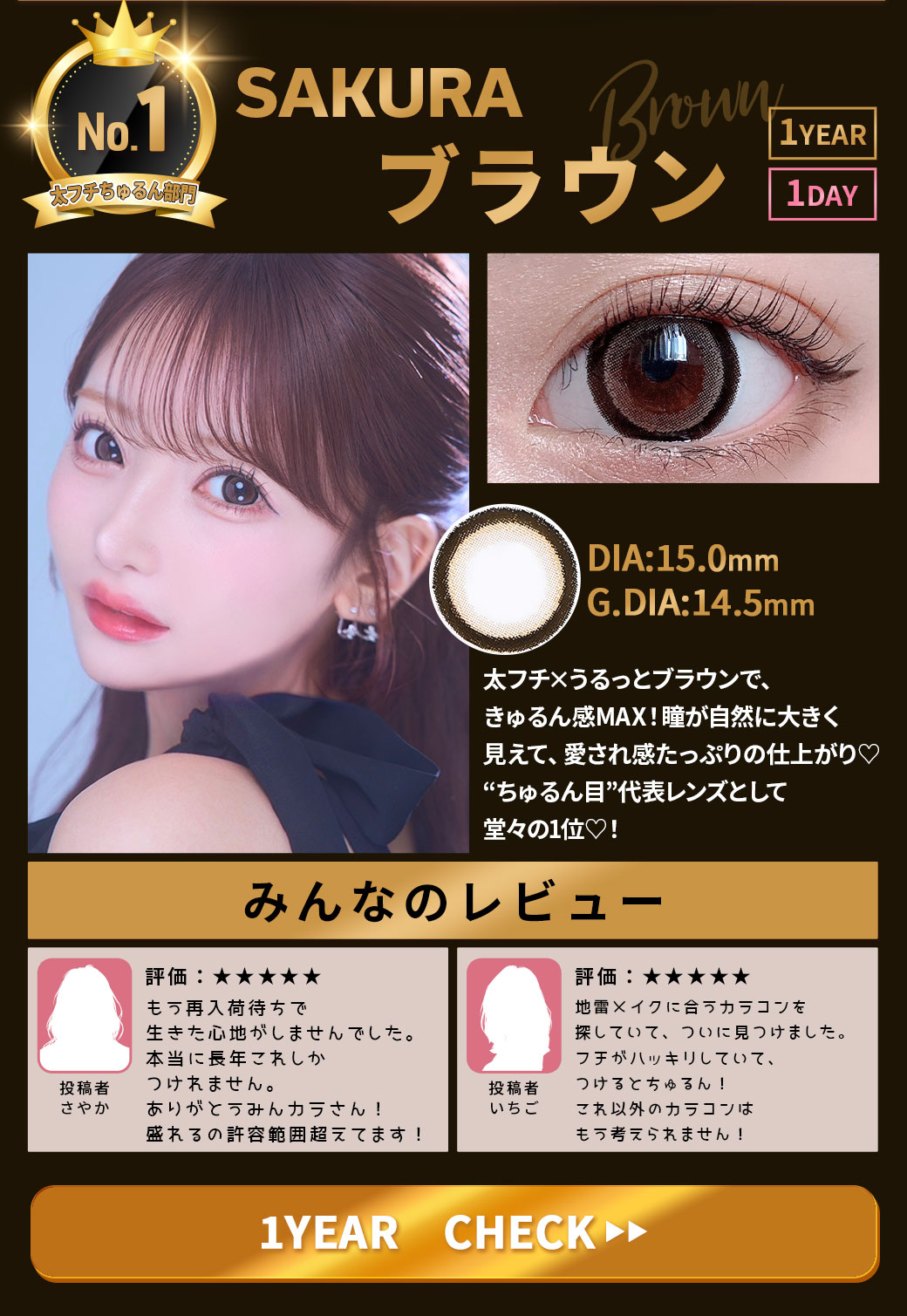 SAKURAブラウン1年