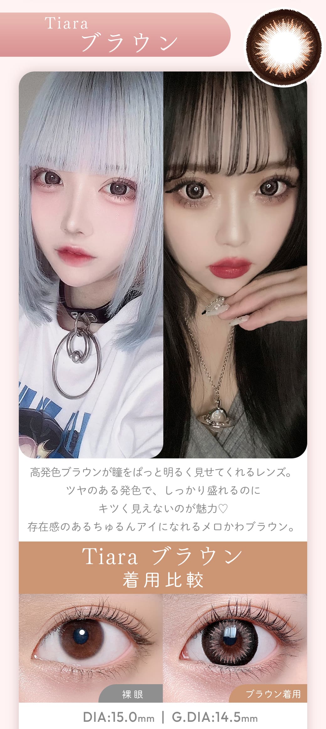 Tiaraブラウン