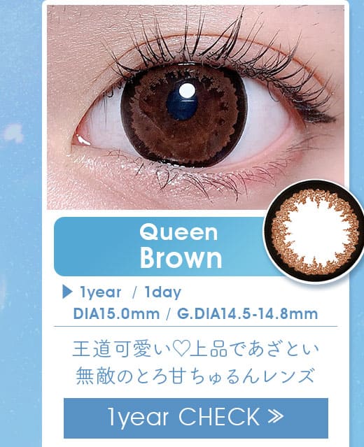 クイーンQueenブラウン1年使用