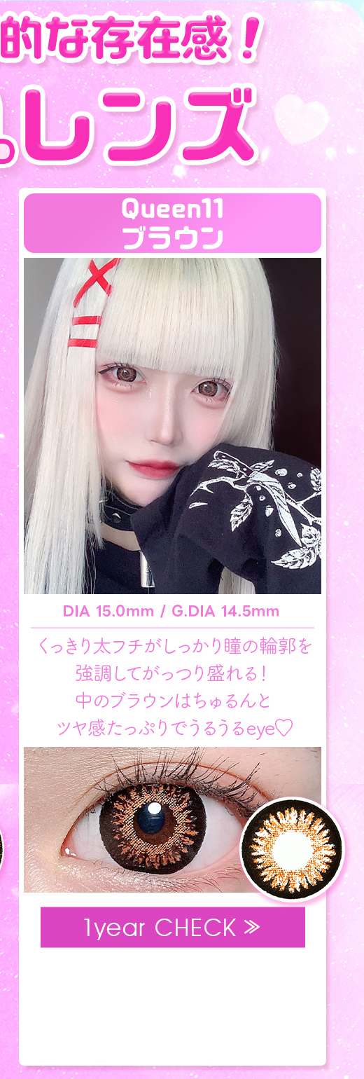 Queen11ブラウン1年