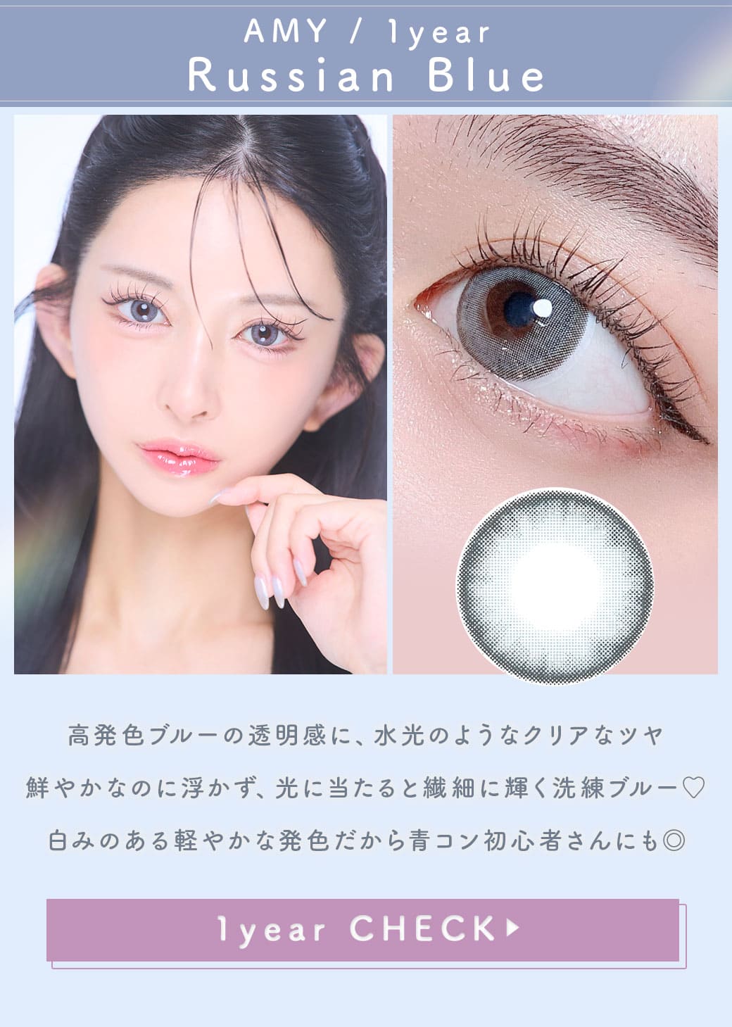 AMYロシアンブルー