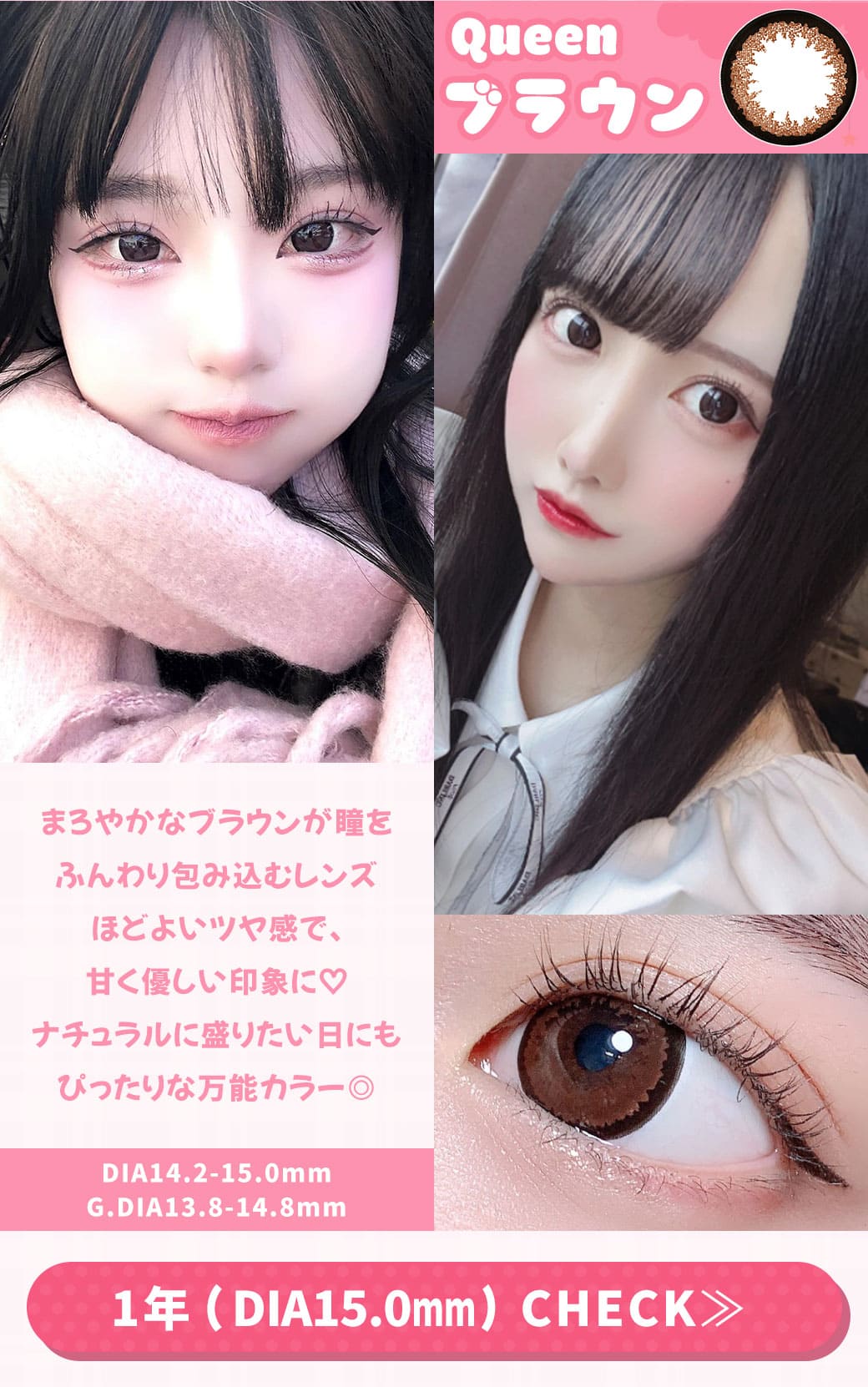 Queenブラウン1年15.0mm