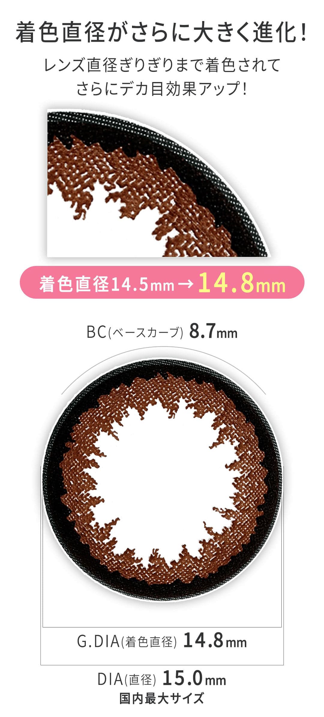 ワンデークイーン 1day◆Queen【DIA 15.0mm(10枚入り)】