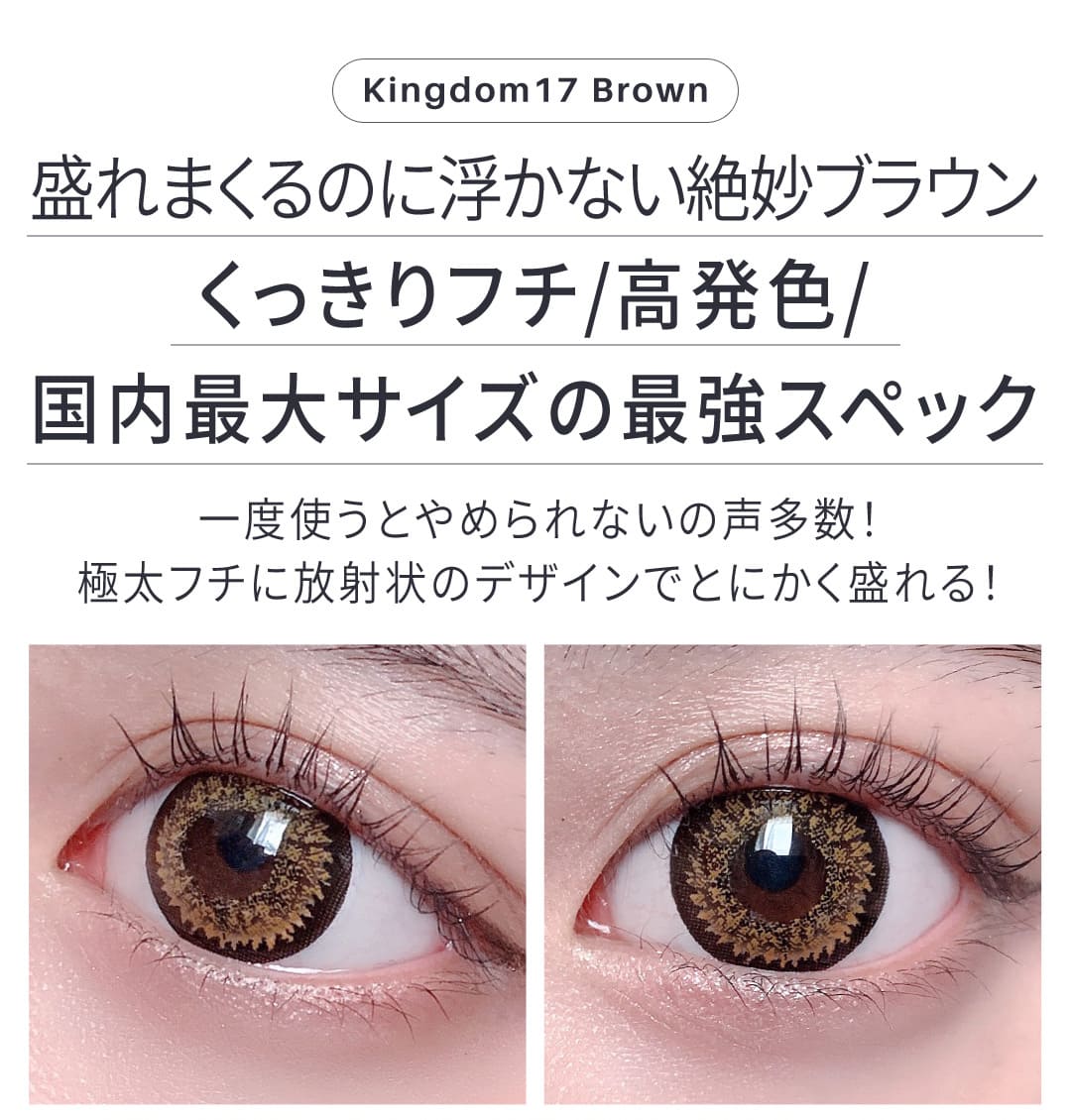 ワンデーK17(10枚入り)