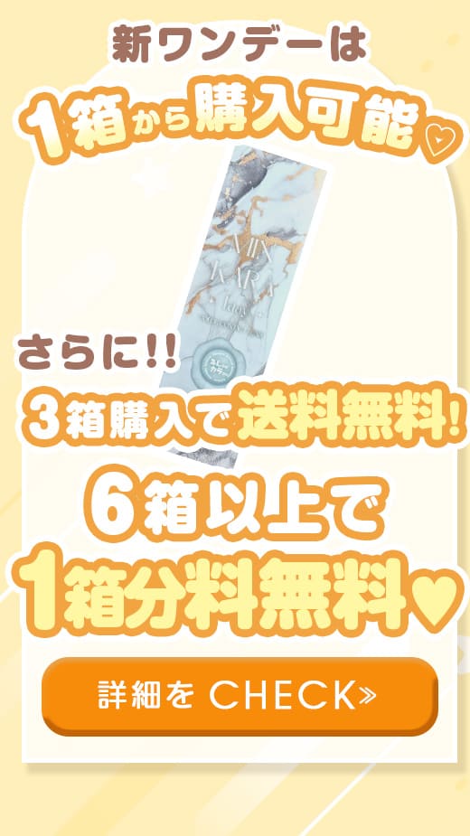 キングダムKingdom17ブラウン1dayワンデー