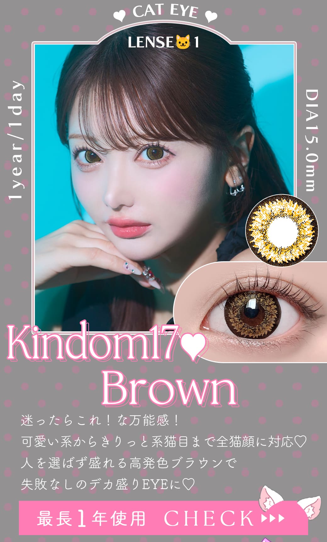 キングダムKingdom17ブラウン1年使用度有りカラコン