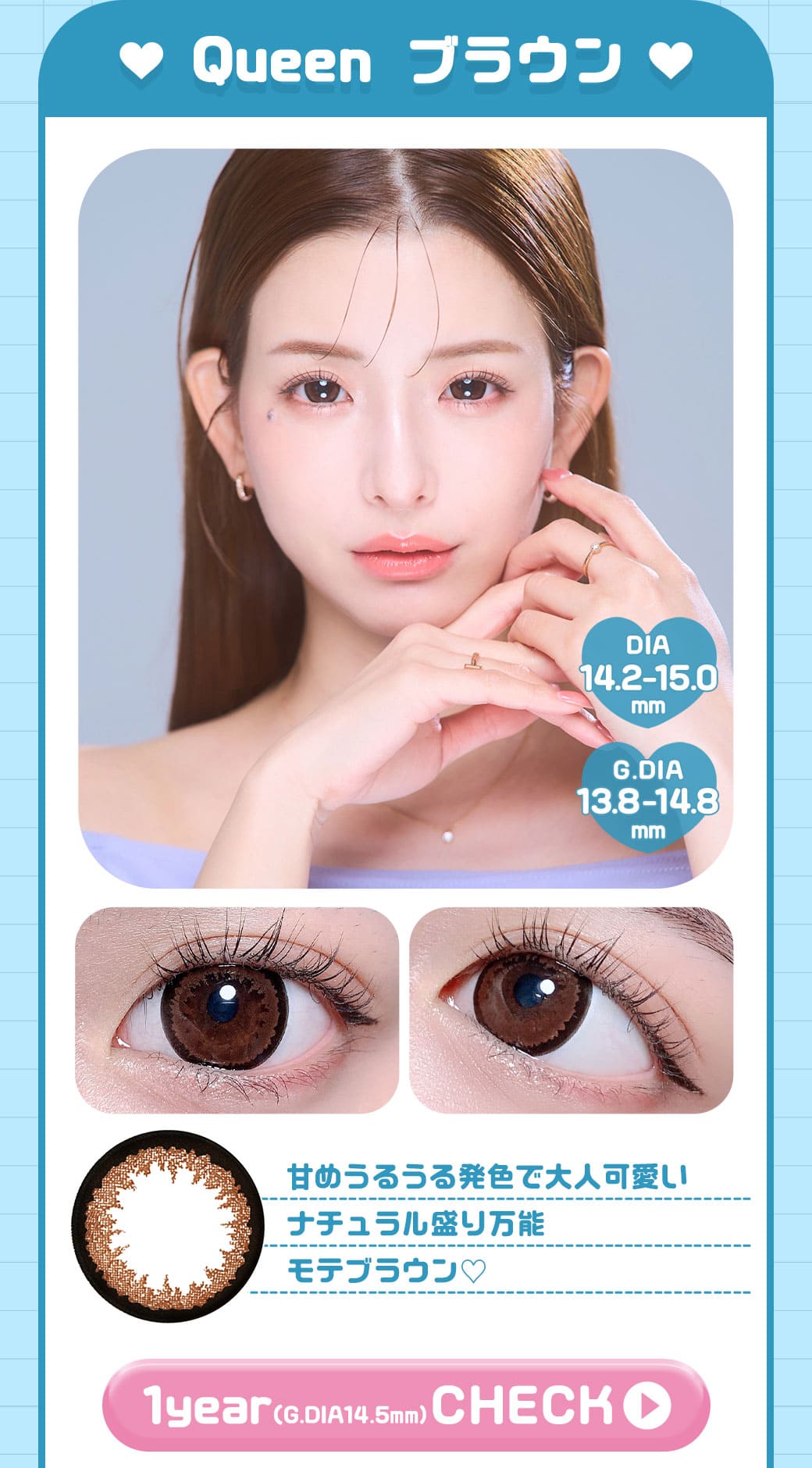 Queenブラウン 1年14.5ｍｍ