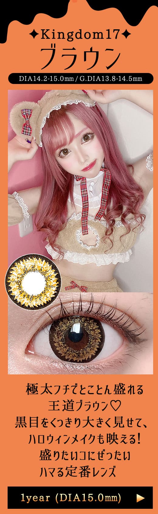Kingdom17ブラウン1年DIA15.0mm