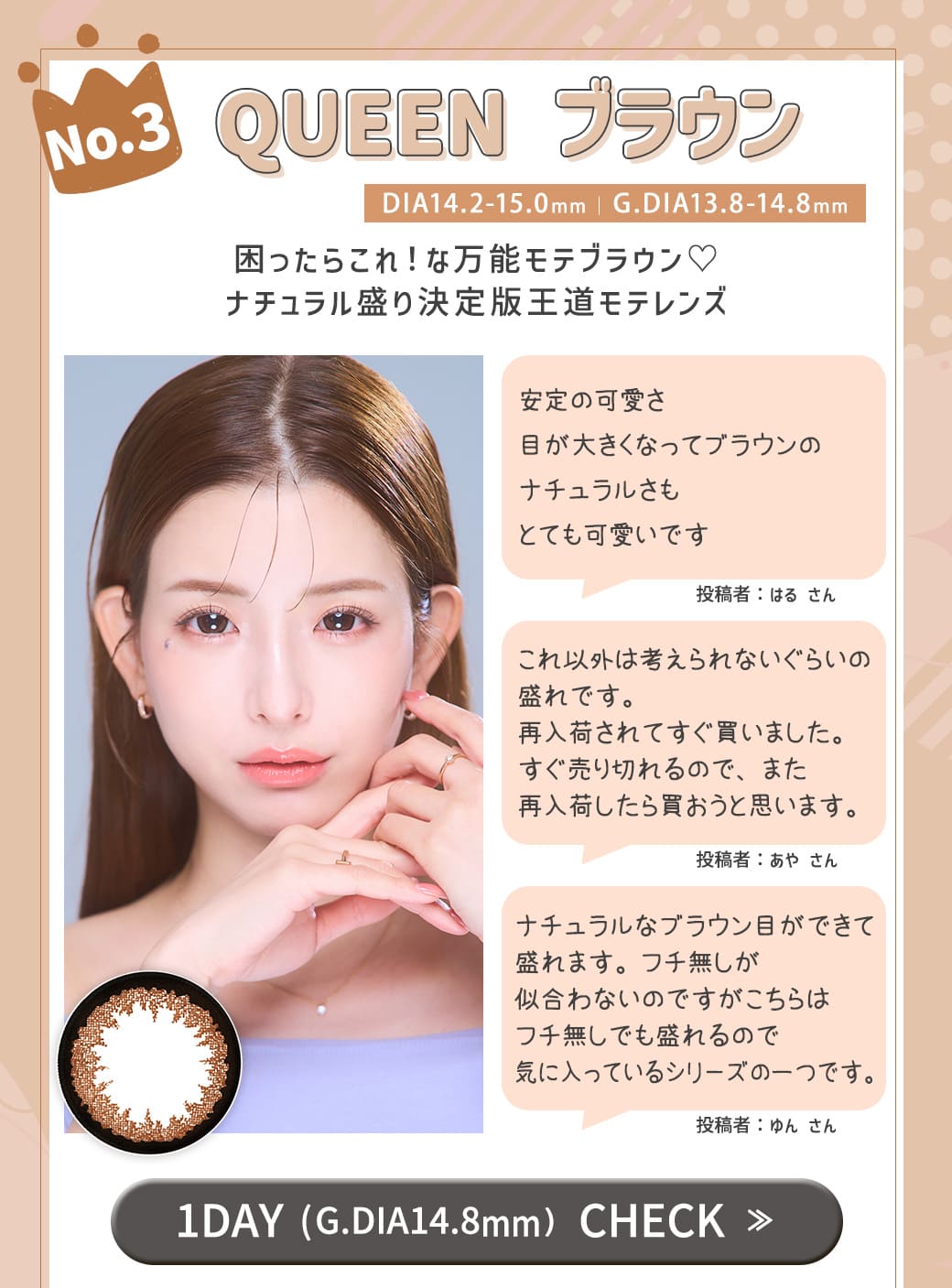 Queenブラウン1DAY