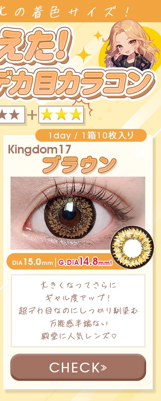 キングダムKingdom17ブラウン1dayワンデー