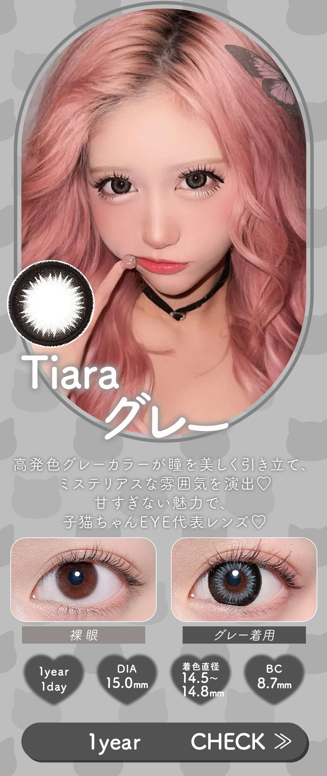 Tiaraグレー1年